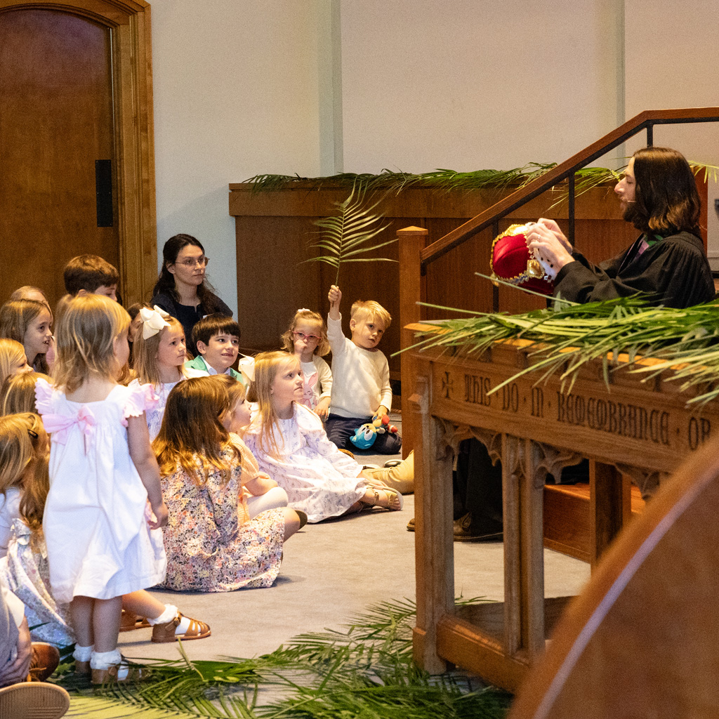 W Ser Spec Palm Sun Children Time resized