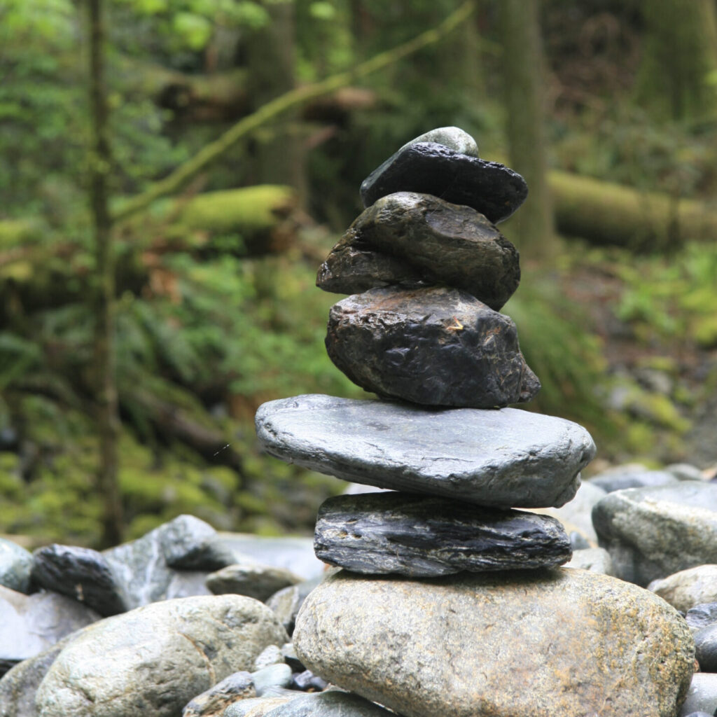 Living Stones: Stewardship Dedication Sunday